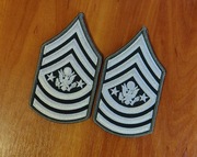 Naszywka - US Army - Sergeant Major Of The Army E-9 (Green/White) - para