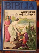 Biblia w obrazkach dla najmłodszych K.N.Taylor