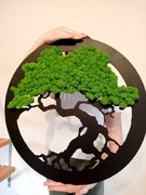 Drzewko bonsai. Obraz z mchu 60 cm. Mech Chrobotek. Prezent. 