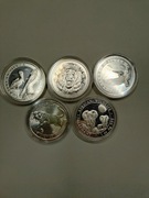 Srebrne monety bulionowe 5oz/uncji, zwierzęta, premium