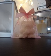 Naturalna zawieszka zapachowa