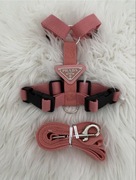 Nowy komplet: szelki Guard + smycz dla psa kota