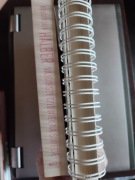 Halber - Najgorszy człowiek na świecie + Kołonotatnik z bohaterem