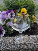 Zestaw kieliszków do brandy/koniaku 10 sztuk