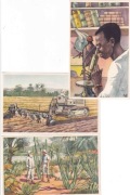 Kongo Belgijskie - Historia i Rozwój" - 1953 r.