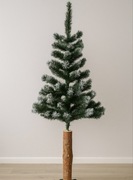 Choinka na pniu 180 cm