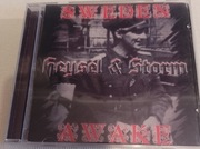 Heysel &Storn, rock, oi, rac, skins 