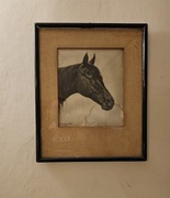 Heinrich Sperling - Głowa konia ( 1909r. )