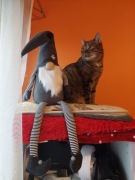 Skrzat Krasnal Rękodzieło Zabawka Ozdoba 