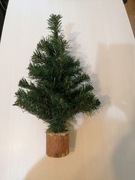 Goliat choinka na pniu nowa Polska produkcja 