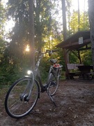 Gazella Innergy Sprawny Rower Elektryczny tanio