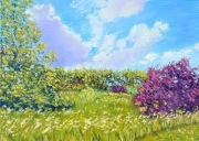Olej/płótno 33x46.
