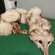 Kołnierz z lisa naturalne 