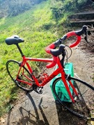 Rowel szosa Canyon Endurance AL 8.0 L