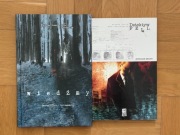 Wiedźmy (Scott Snyder) + Detektyw Fell (Warren Ellis)