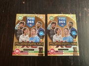 Karty Invincible RARE FIFA 365 2021!