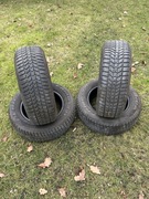 Opony zimowe Dębica Frigo HP2 215/65R16 98 H