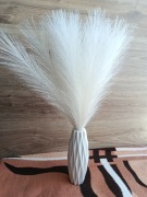 Trawa pampasowa kremowa wysokość 55cm 20 szt