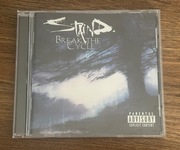 STAIND - BREAK THE CYCLE 