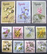 Flora kwiaty Uganda 2