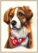 OBRAZEK - pies - rysunek kredkami