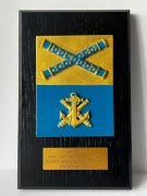 Ryngraf wojskowy oryginalny, kolekcjonerski Marynarka Szwedzka