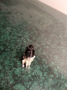 Czujnik temperatury wewnętrznej Volvo FH4 FH5 FM