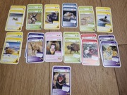 nr3 Karty Super zwierzaki podwójne MEMO/PIOTRUŚ