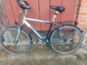 Rower Trekking Torrek  Travel 300