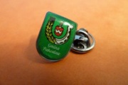 Pakosław Pow. Rawicz wersja 2. Herb pin przypinka 