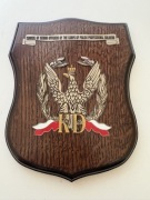 Ryngraf - Council Of Senior Officers Of The Corps of Polish Professional