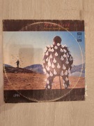 Pink Floyd - Delicate Sound Of Thunder 1988 Winyl