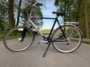 Rower męski Gazelle Medeo City, trekking miejski