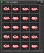 Tibiantis Pacc Piggy Concordia No-PvP Szybka Dostawa!!