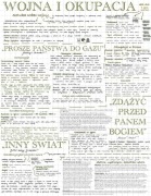 Notatki matura 2026 Język polski poziom podstawowy i rozszerzony 