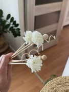 Dekoracyjne Patyczki do Dyfuzora i wazonu – Zestaw Mix