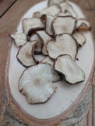 Kukurydza zanęta dla ryb, dla ptaków 24kg i 100g chipsy topinambur