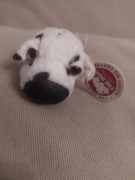 Maskotka The dog