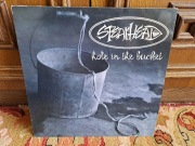 SPEARHEAD HOLE IN THE BUCKET 12" Adrian Sherwood 