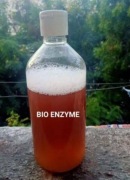 BiO Enzym , Nawoz nowej Generacji . BIOENZYM 2.5 L z Indii 