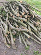 Drewno z sadu leszczyny do wycinki Oddam