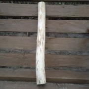 Lipa lipowe do rzeźbienia wysokość 44 cm, szerokość 4cm, 20 cm, 30 cm, 60