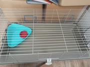 Klatka dla świnki morskiej lub królika