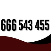 Złoty Numer Starter VIP Karta T-Mobile 666