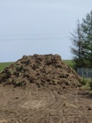 Ziemia oddam za wywiezienie