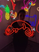 Kameleon.Napisy Świetlne.Dekoracje Neon LED