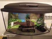 Akwarium panoramiczne 45 l