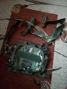 Hest rig ASG ...