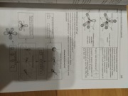 Podstawy chemii Repetytorium Persona 1