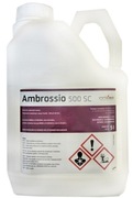 Ambrossio 500 SC 5l